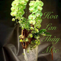 HOA LAN PHUN SƠN MỸ THUẬT PS04