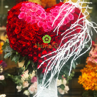 BÌNH HOA 028