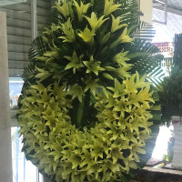 HOA CHIA BUỒN 041