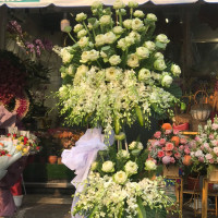 HOA CHIA BUỒN 056