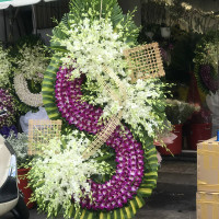 HOA CHIA BUỒN 057