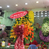 KỆ HOA CHÚC MỪNG 044