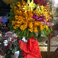 KỆ HOA CHÚC MỪNG 052